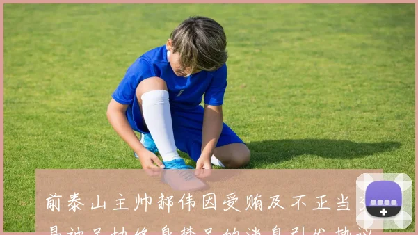 前泰山主帅郝伟因受贿及不正当交易被足协终身禁足的消息引发热议